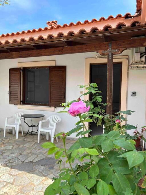 Cozy Studio In Skala, Agistri Apartment Exterior photo
